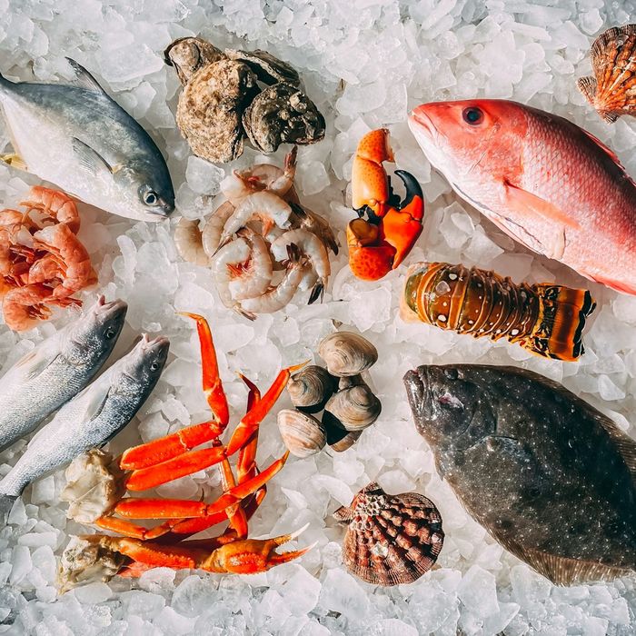 Peixes e frutos do mar no gelo